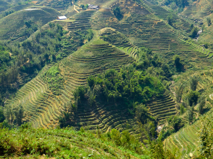 Sapa Hills