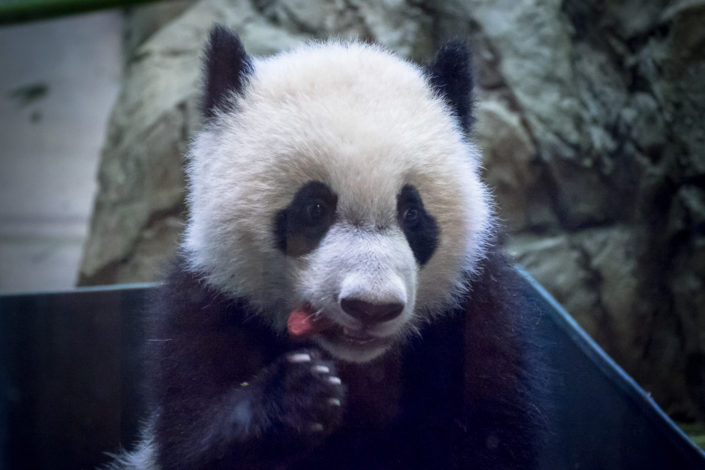 Bei Bei