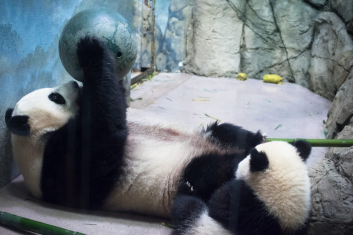 Mom and Bei Bei