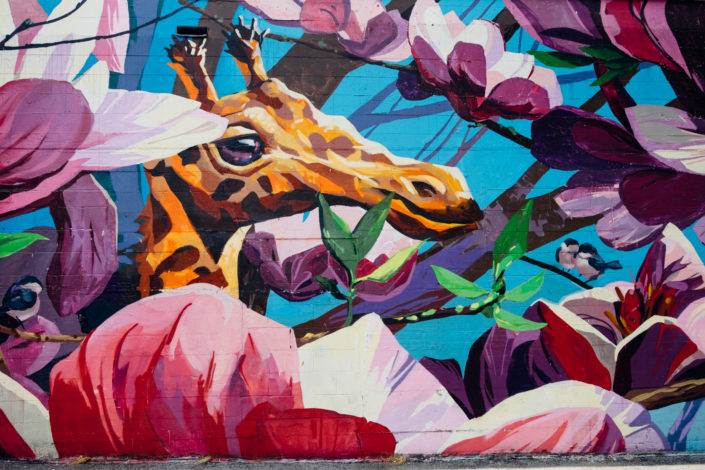 Vancouver Mural Festival