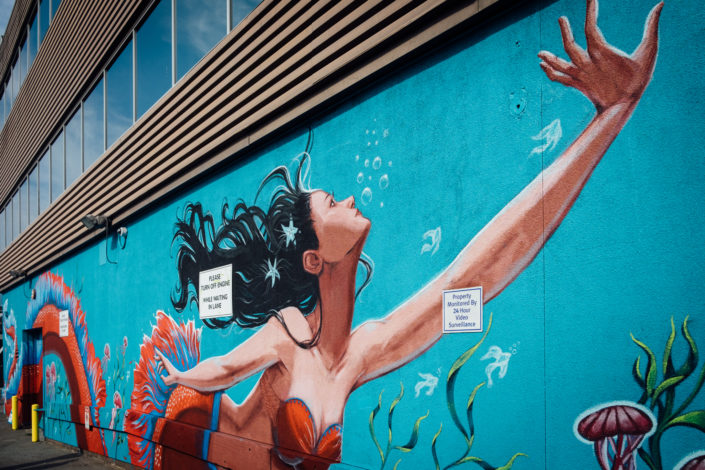 Lady Mermaids by LANI IMRE + BRONWYN SCHUSTER + AMANDA SMART + T