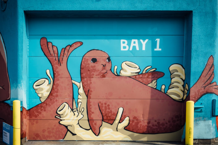 Lady Mermaids by LANI IMRE + BRONWYN SCHUSTER + AMANDA SMART + T